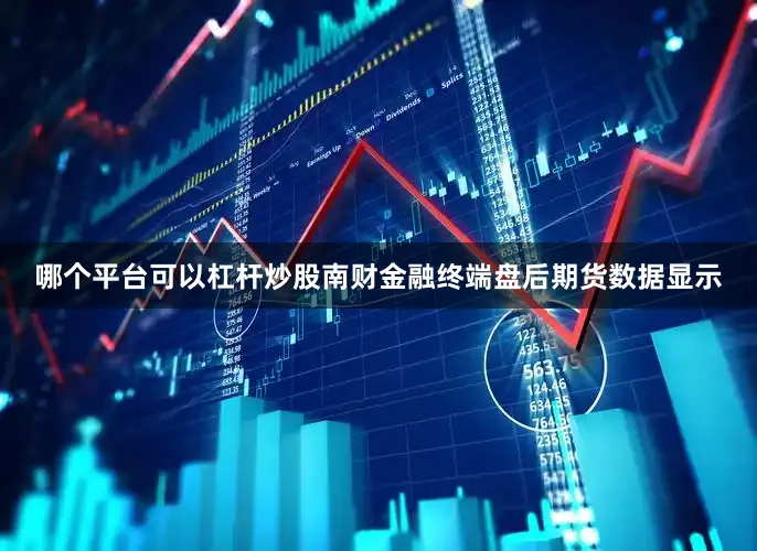 哪个平台可以杠杆炒股南财金融终端盘后期货数据显示