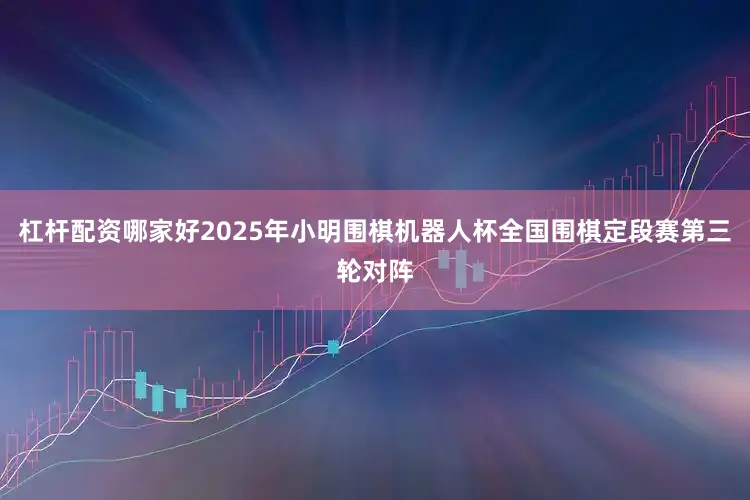 杠杆配资哪家好2025年小明围棋机器人杯全国围棋定段赛第三轮对阵