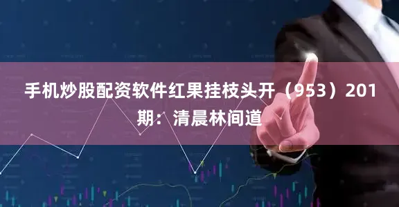 手机炒股配资软件红果挂枝头开（953）　　201期：清晨林间道