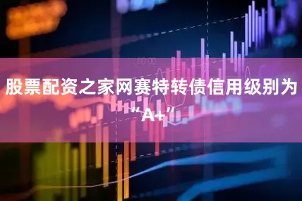 股票配资之家网赛特转债信用级别为“A+”